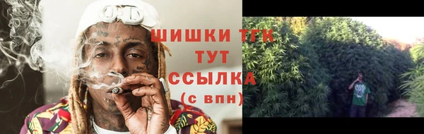 дживик Корсаков