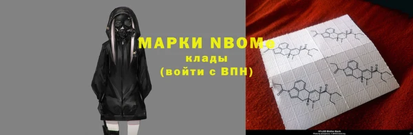 крисы Куйбышев