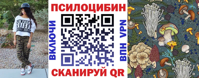 где купить наркоту  Кяхта  Галлюциногенные грибы GOLDEN TEACHER 
