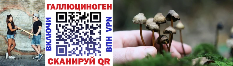 Псилоцибиновые грибы мухоморы Кяхта